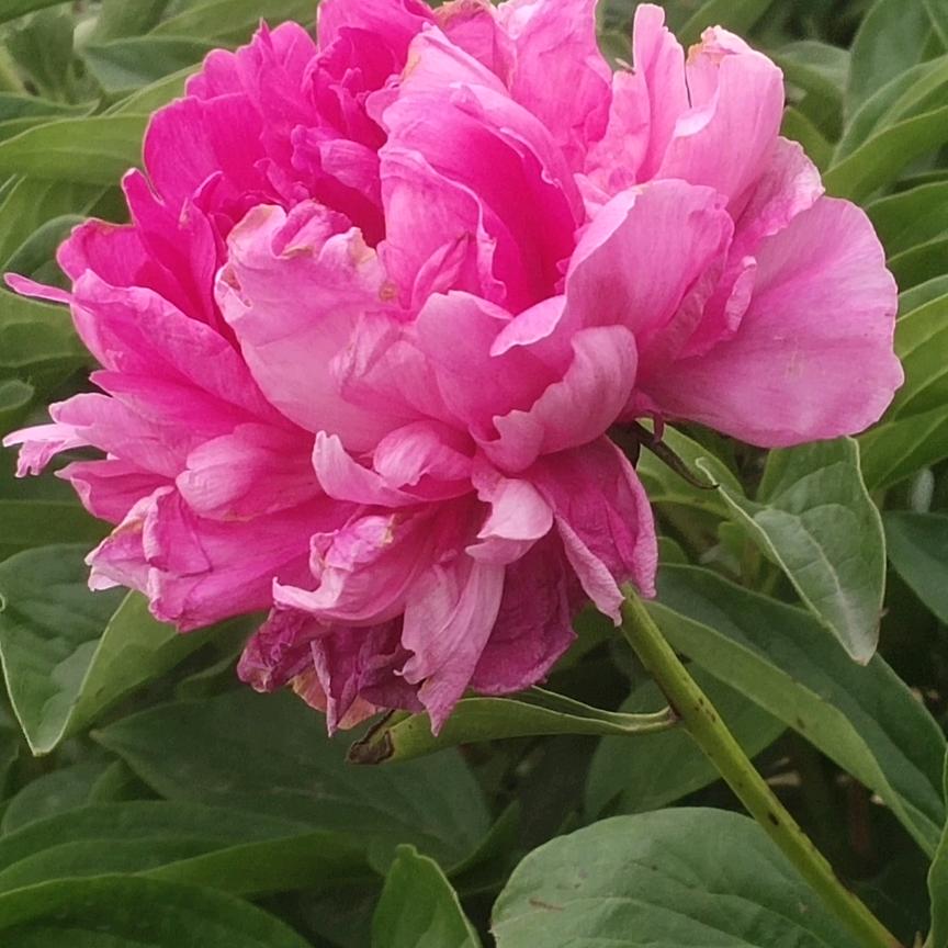 顺风顺水