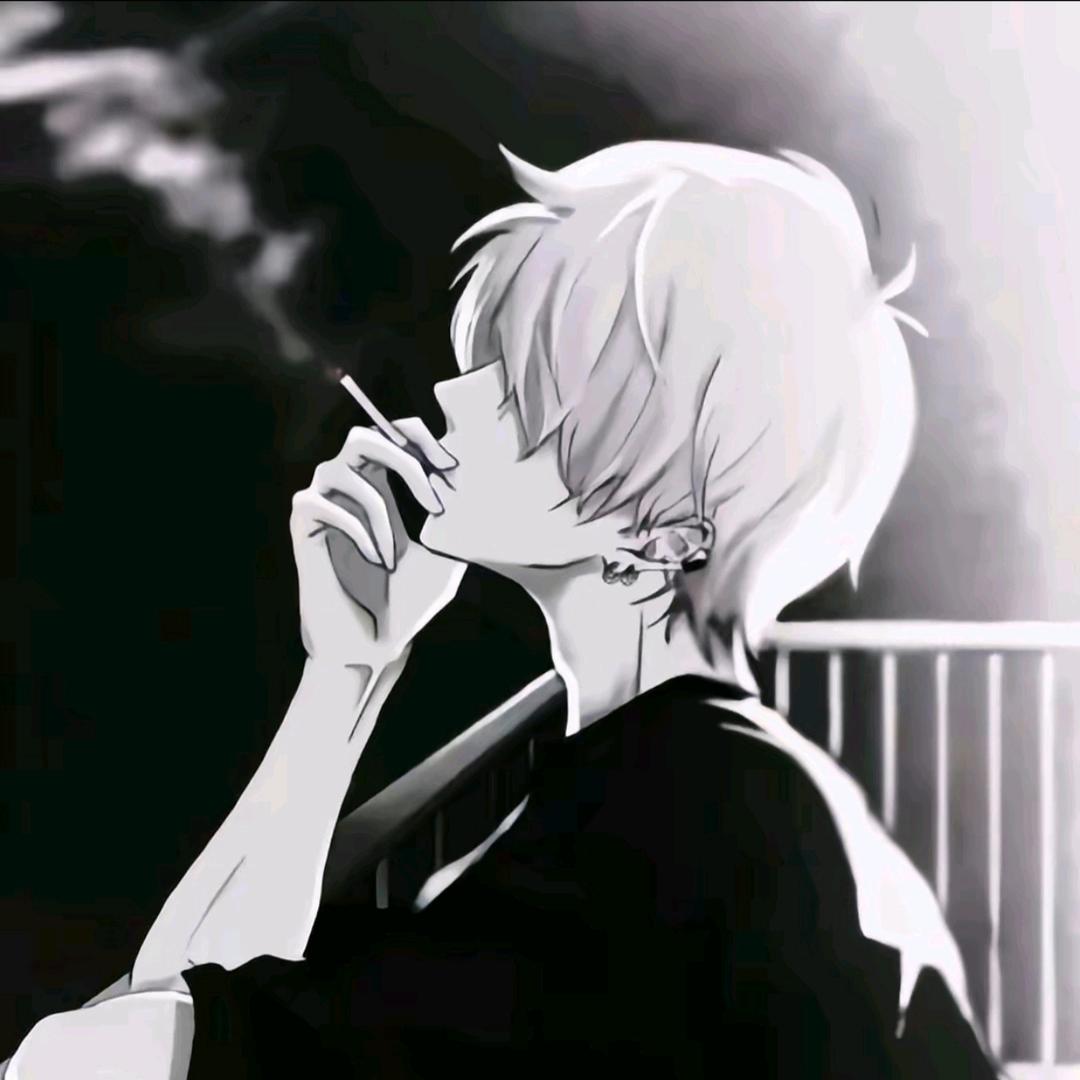 杨晨音乐