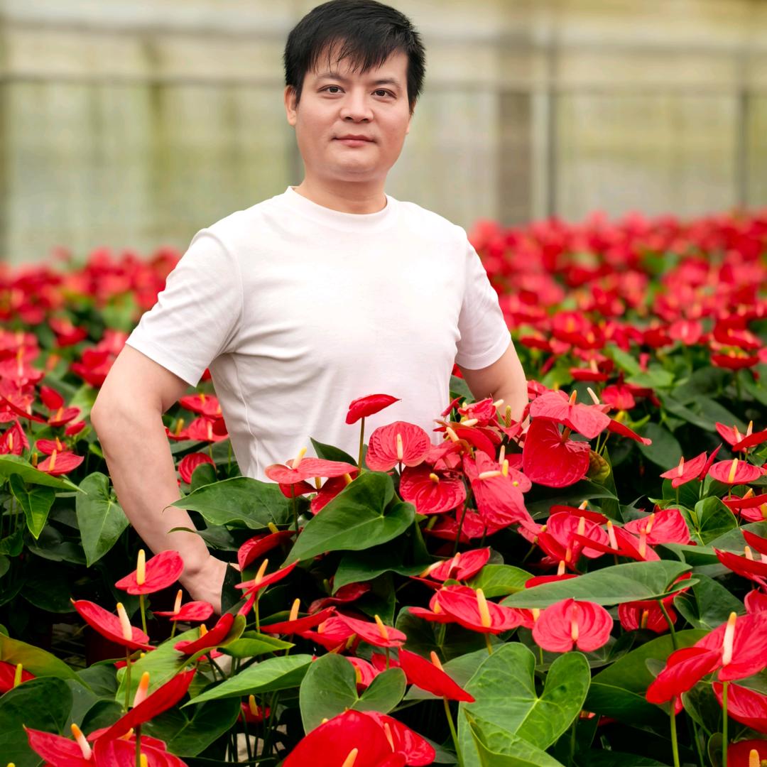 别致花匠BIEZHIHUAJIANG绿植旗舰店