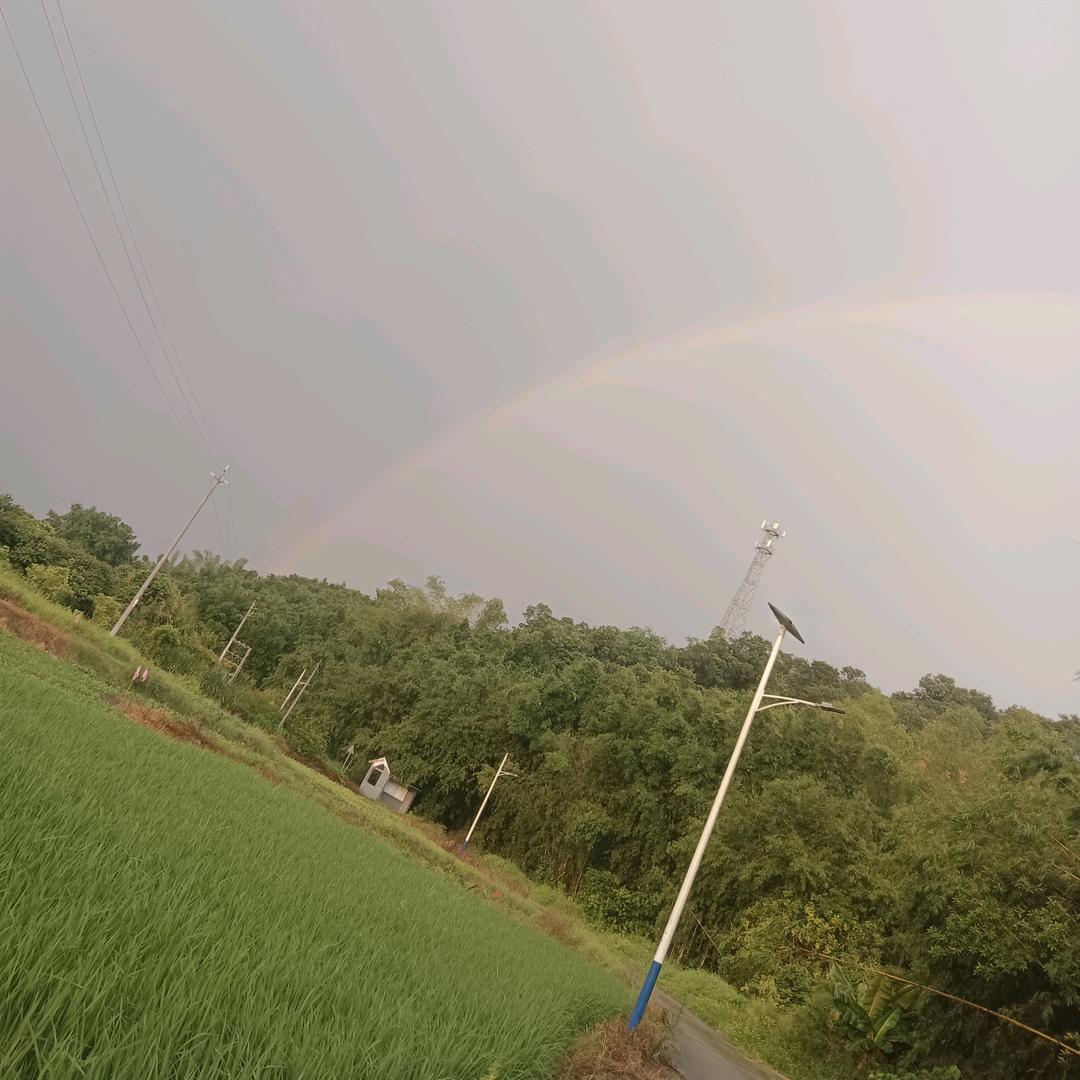 ༅༊᭄ᮨ💯李᭄哥🥰⃝仔ོ࿐