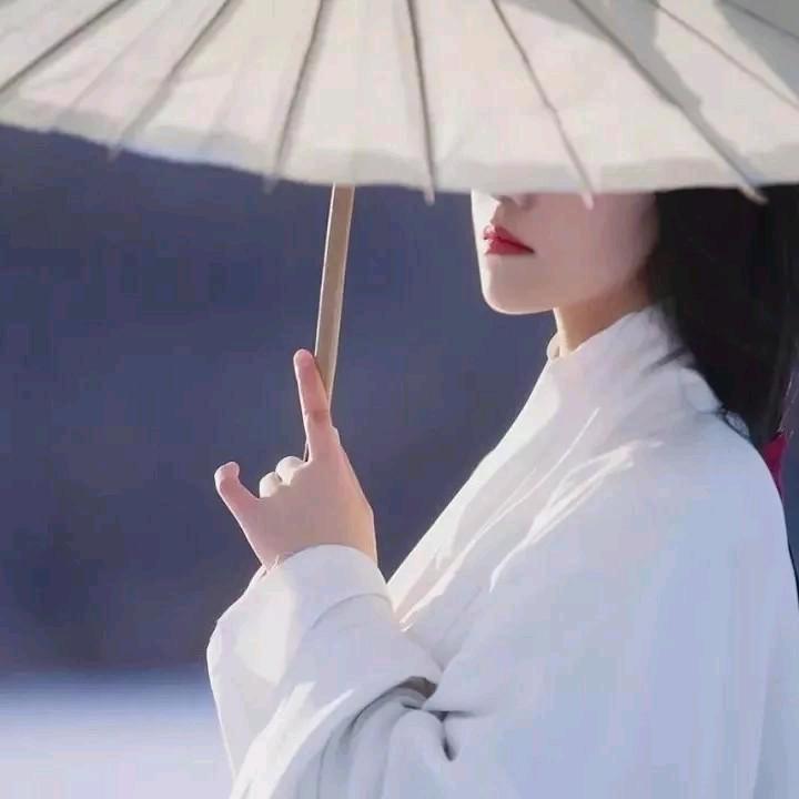 玉山林素