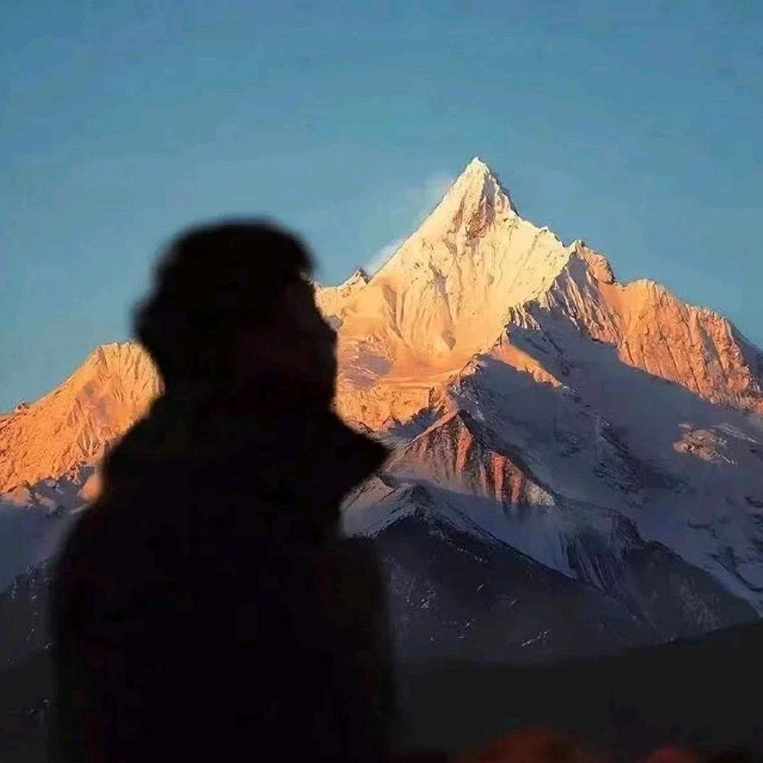 恨私心有所不尽