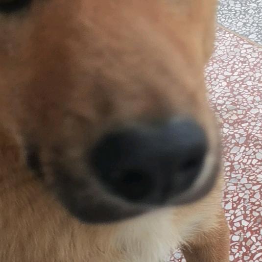 🙃🙃🙃