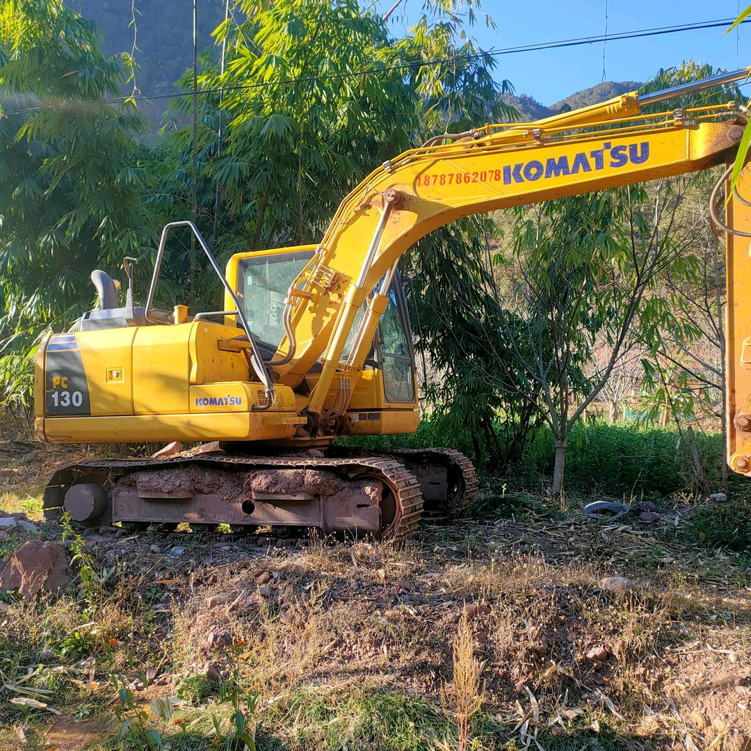 云南楚雄流浪挖