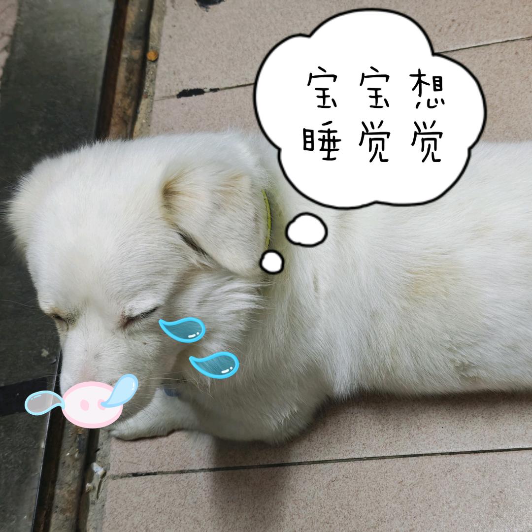 开心是自己给的づ