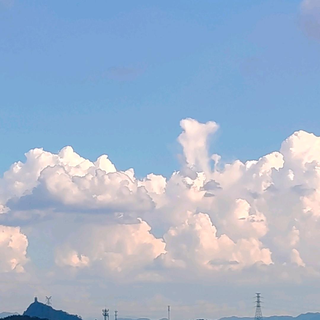 丹小九