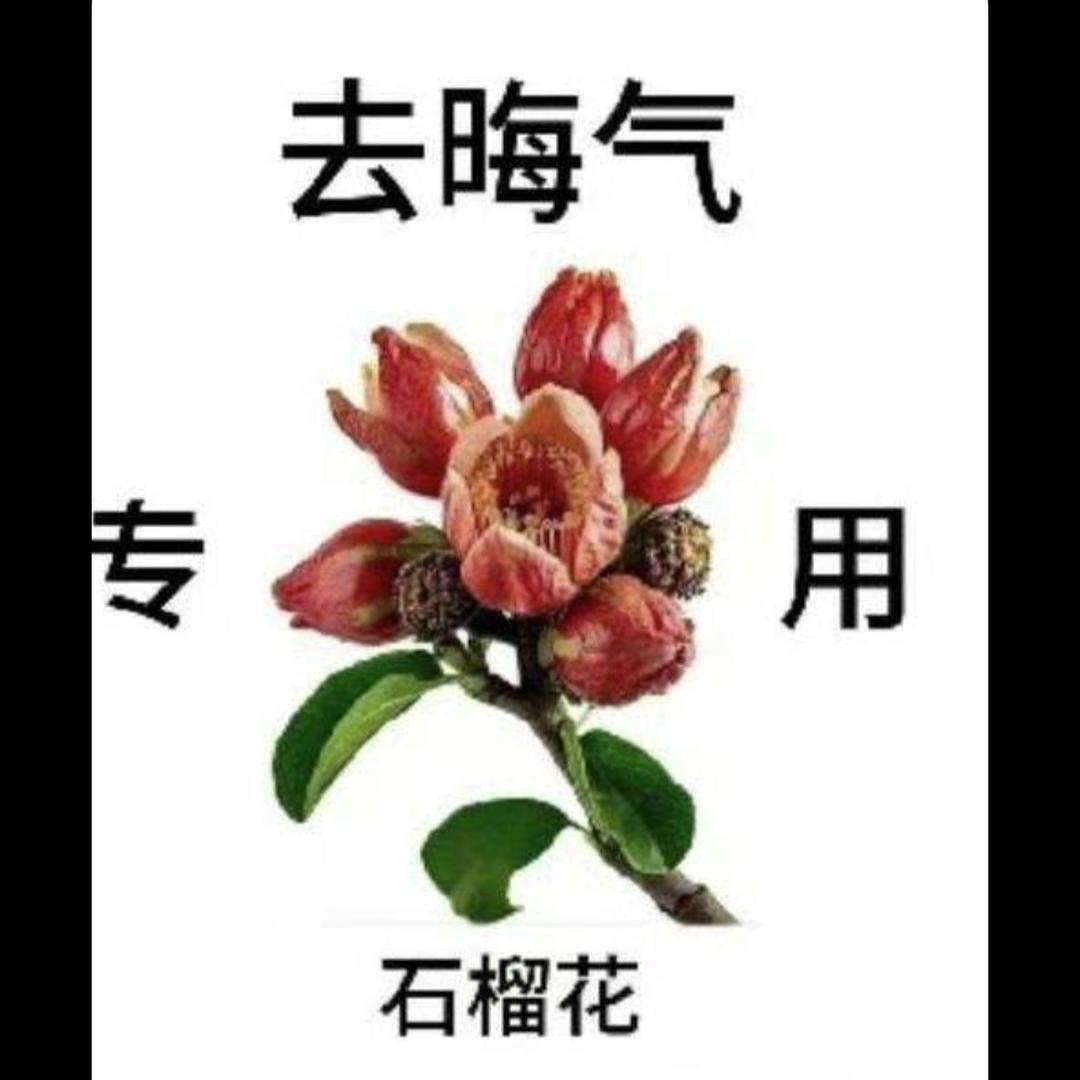 马旺盛