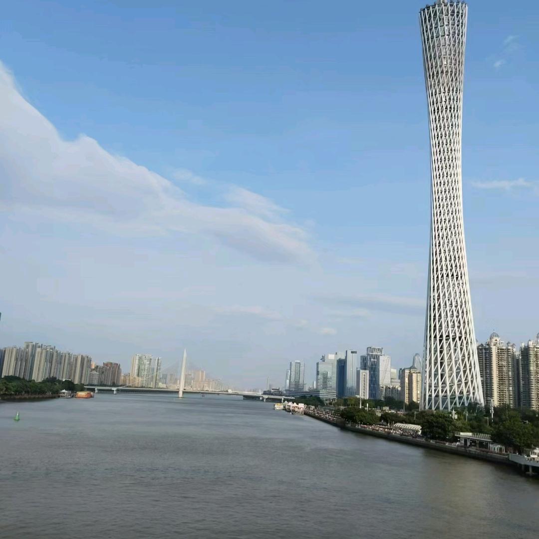 武汉新洲流浪的丫头