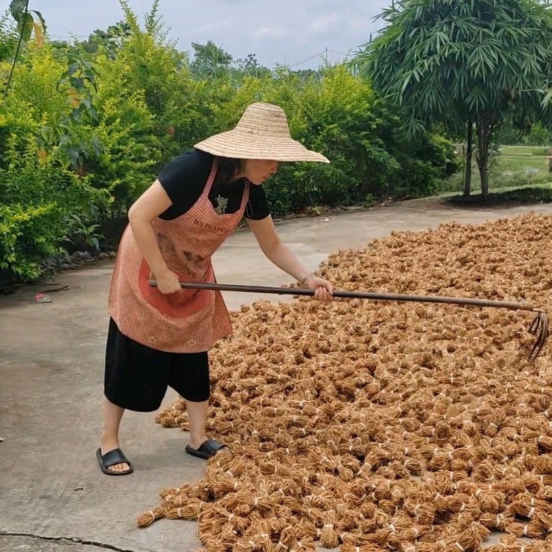 知行岭南土特产2店