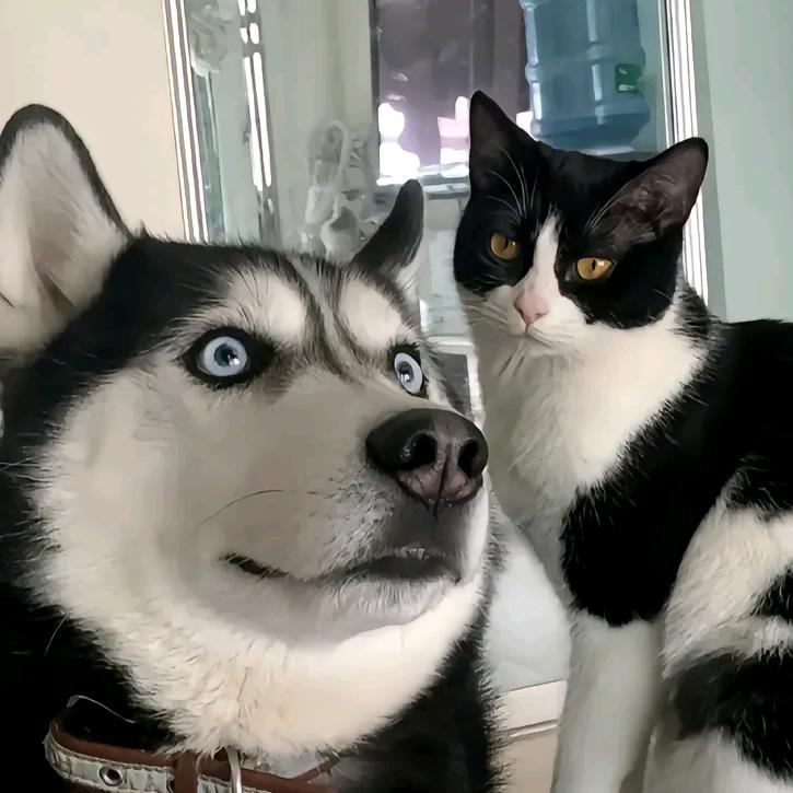 典雅素服饰男装供应链