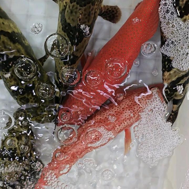 海鲜批发市场实时报价