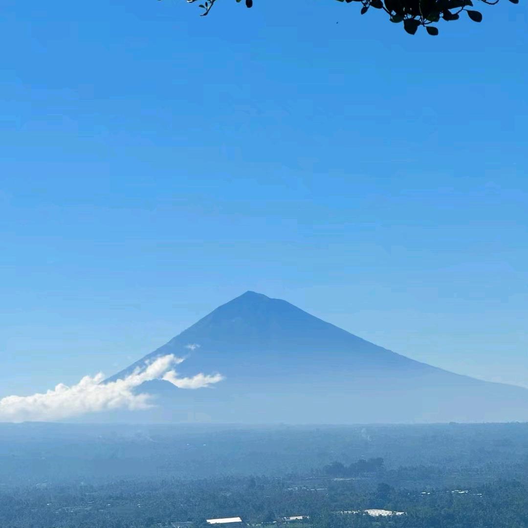 小樱喜欢追剧