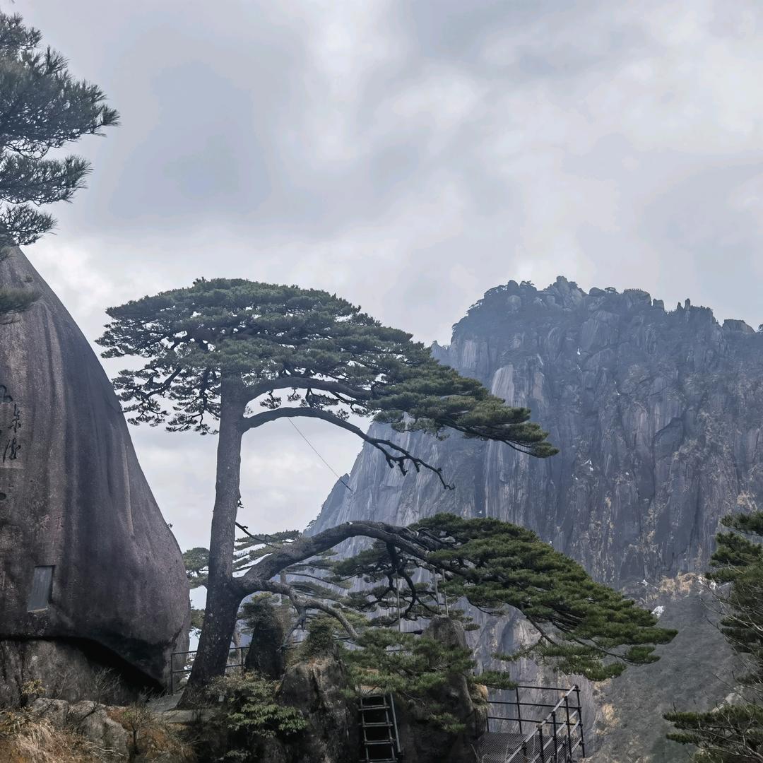 陈茂书