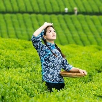 永盛茶行