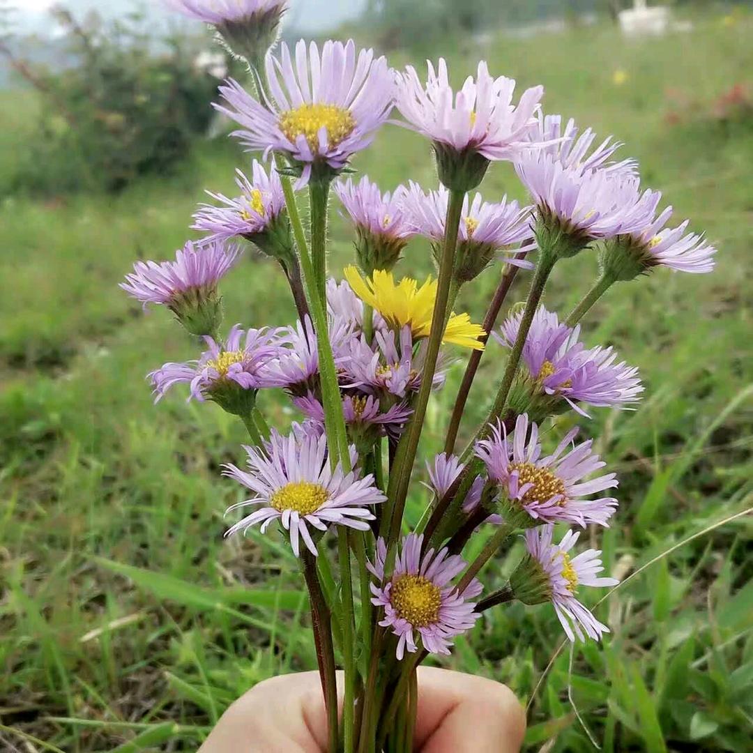 @ᝰ᭄💔哪有后来ᝰ᭄💔：