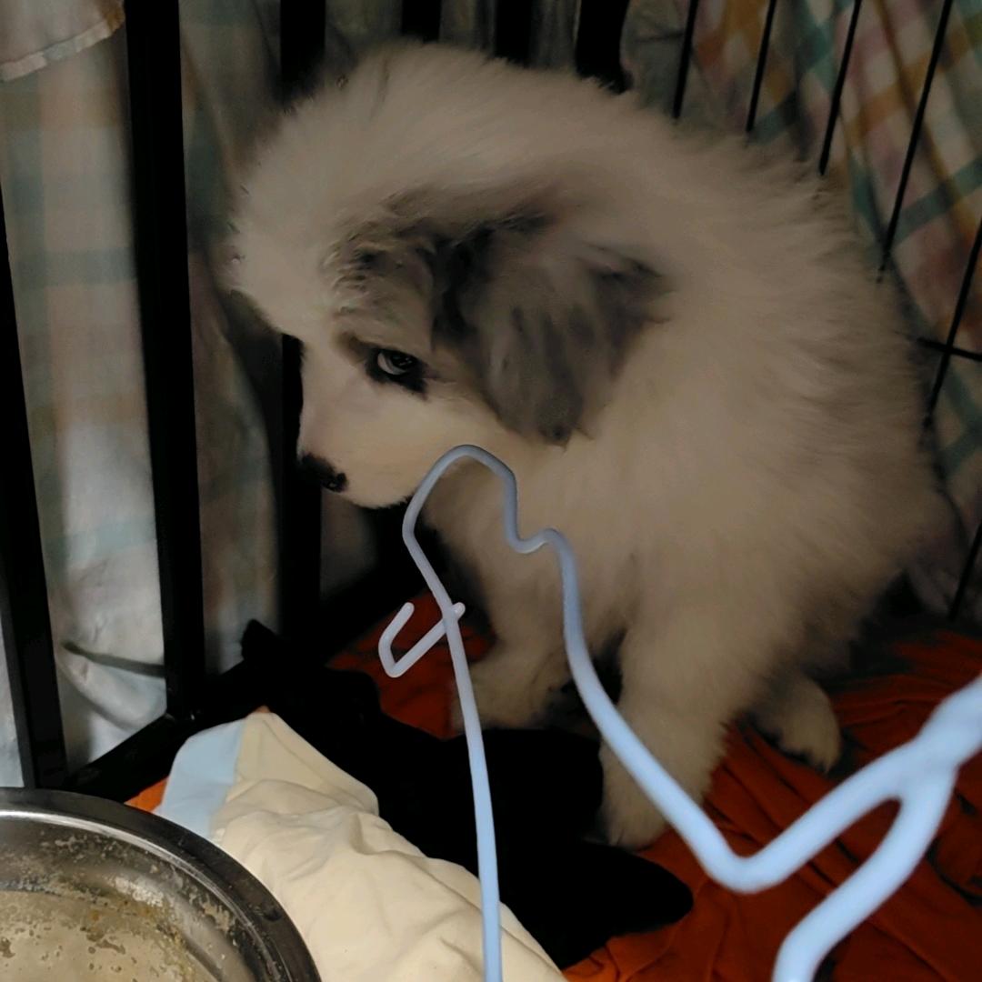 打屁滂臭（呕）