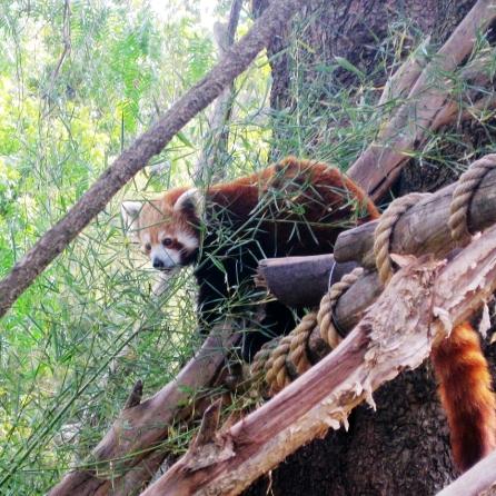 台州顺鑫二手车
