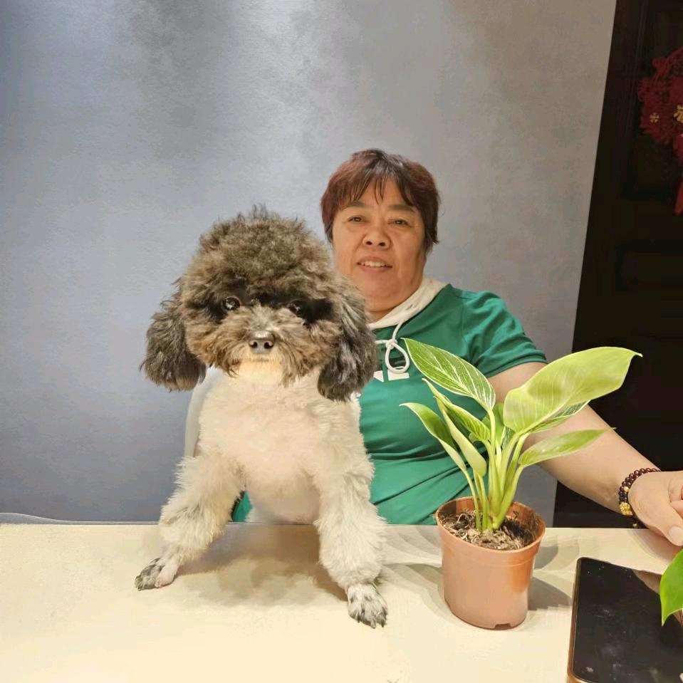 老邓