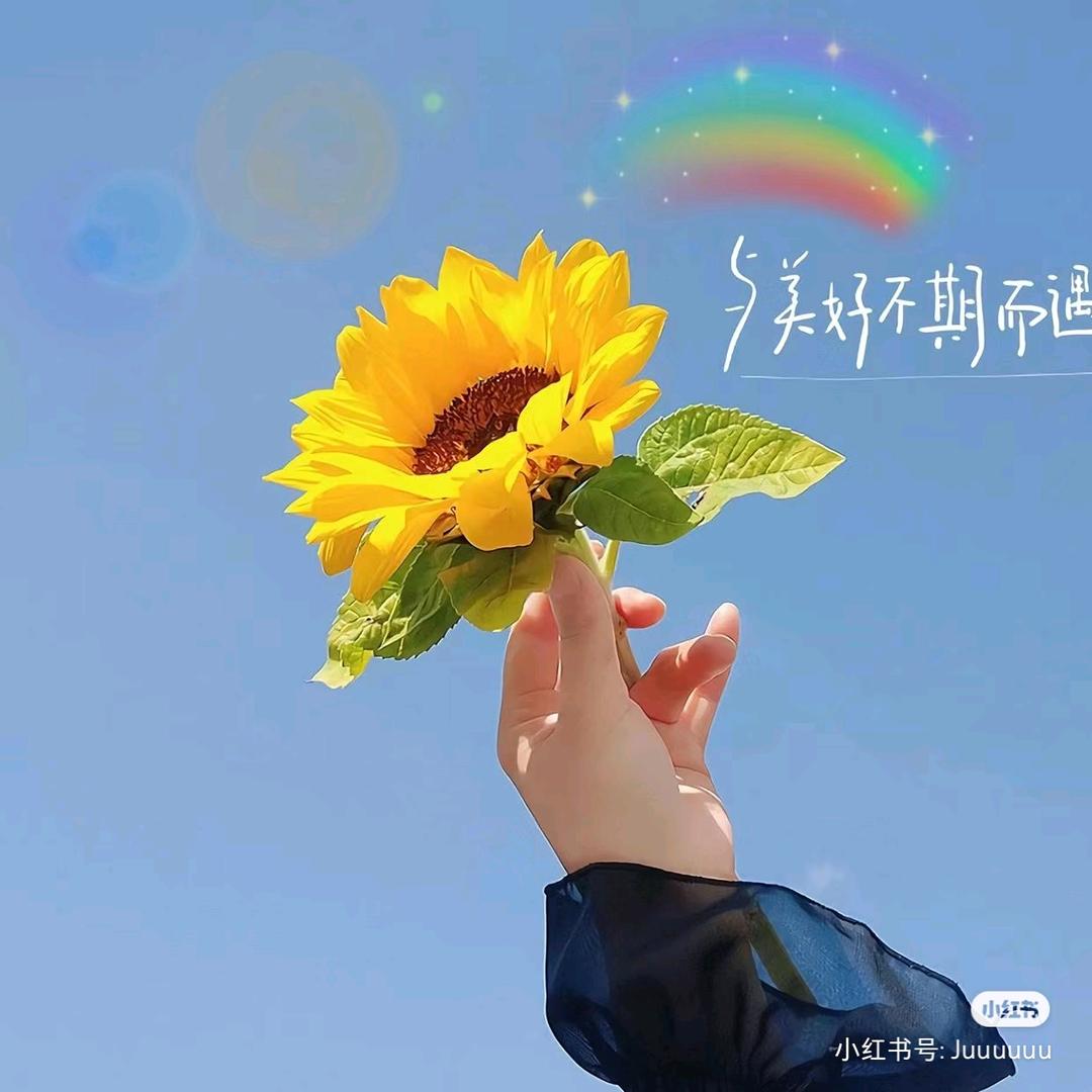岁月&静好&
