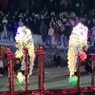 贝子在打地鼠🐭🐭🐭🐭🐭🐭