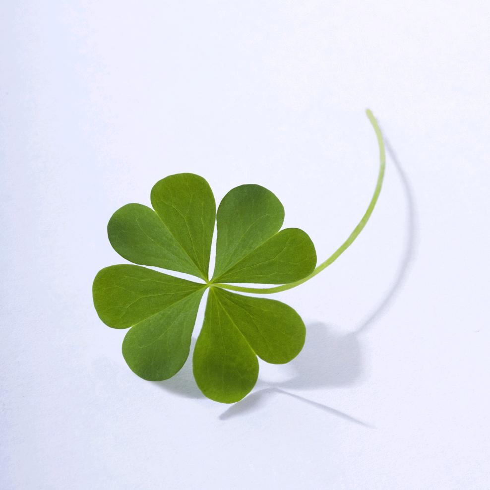 好物甄选品质店