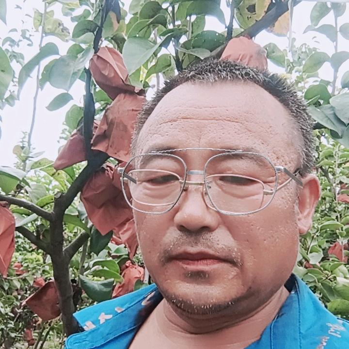 考城镇，半截楼村，千亩果园，，董哥