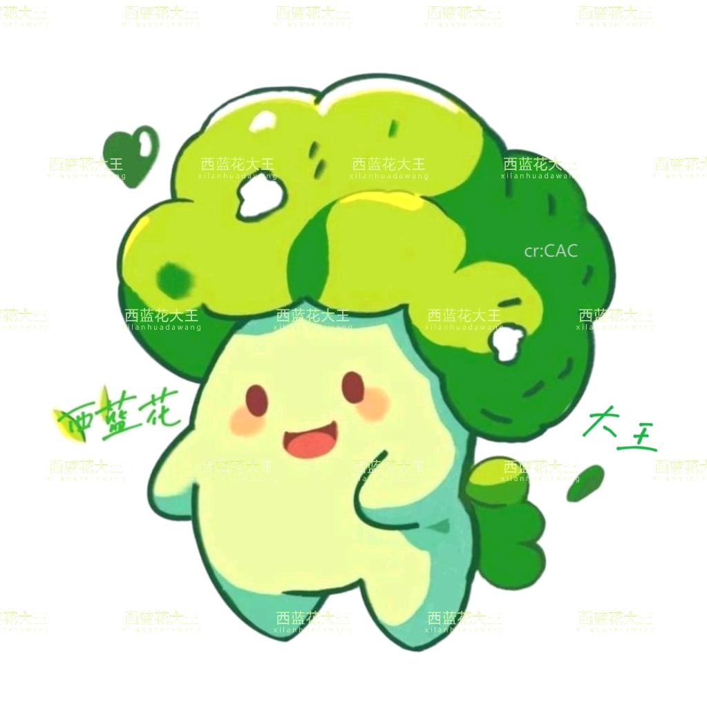 西蓝花大王🥦