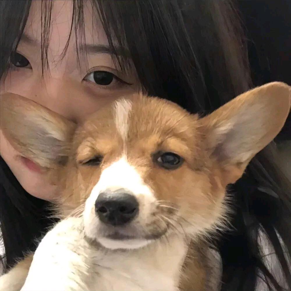 福猪猪🐷🐷🐷