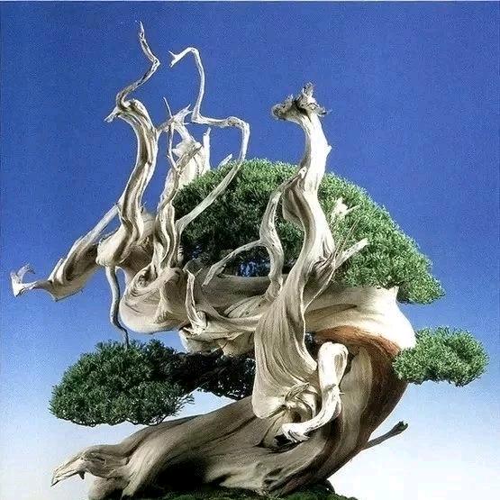 耕柏园