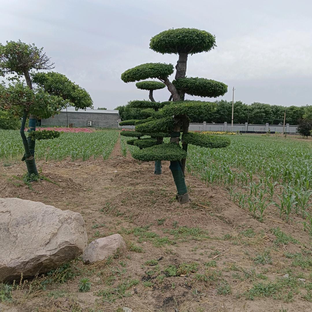 开心快乐每一天