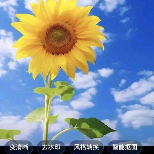 喜悦