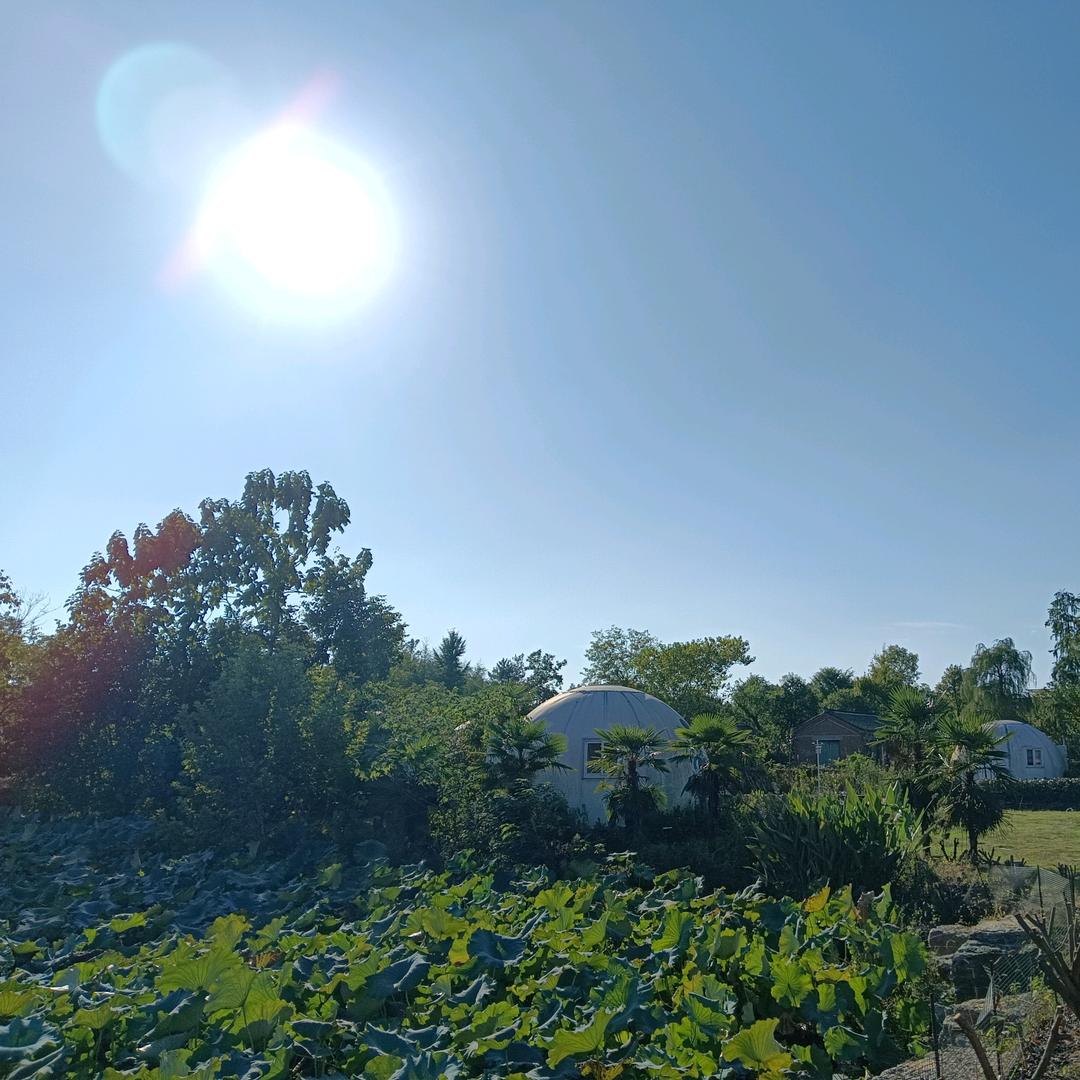小方同学