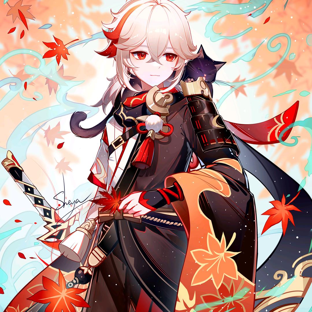 翟翟的翟