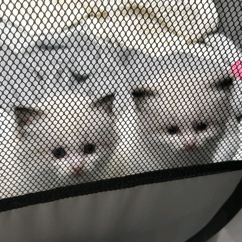 猫小富