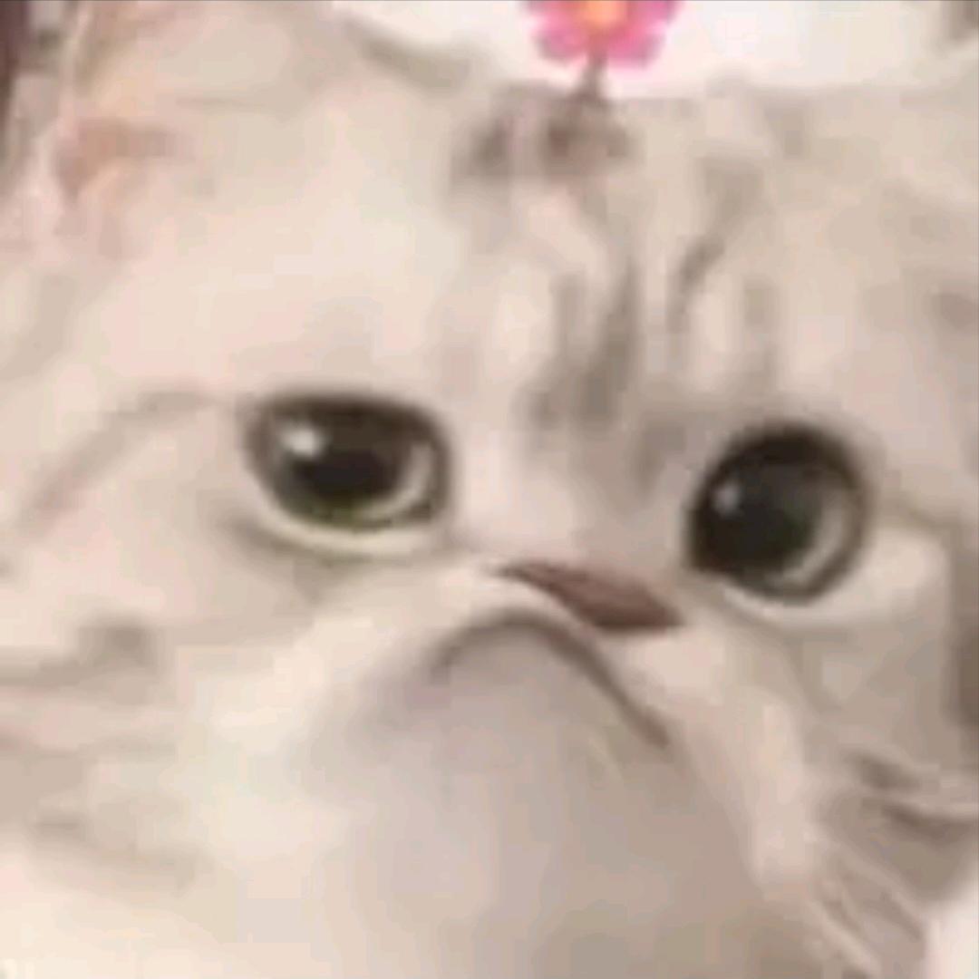 小四月