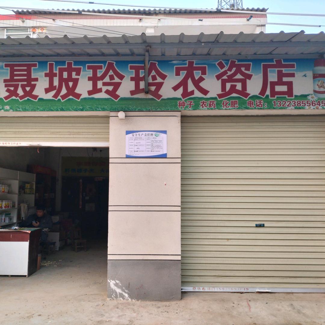 聂坡玲玲农资店