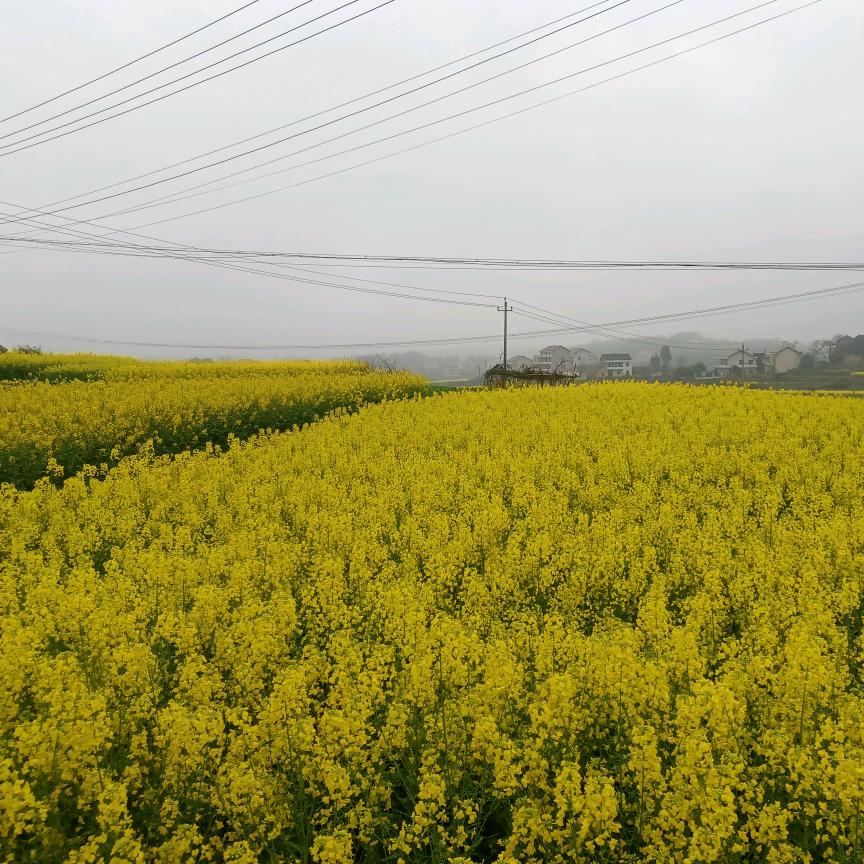 😘😘😘😘😘运来了👏