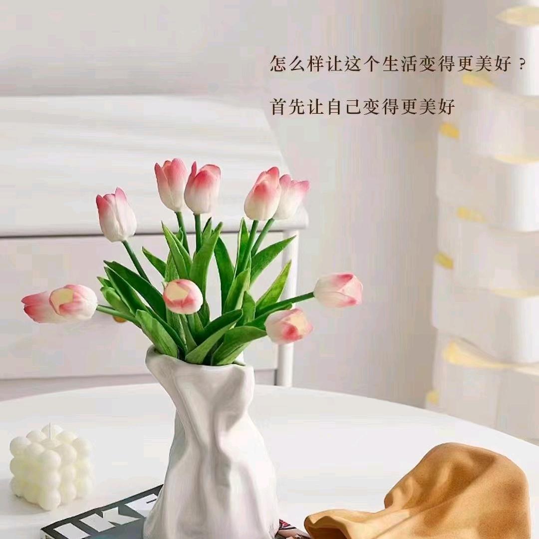 时光淡然
