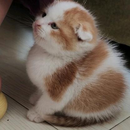 云间古法养生官方号