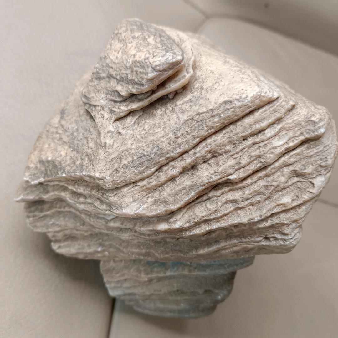沙漠中的骆驼