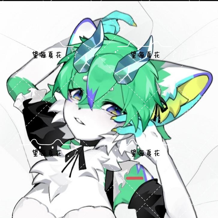 望海夏花-Summer flower