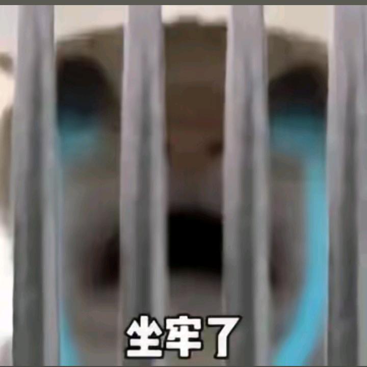 普坝天天出大红