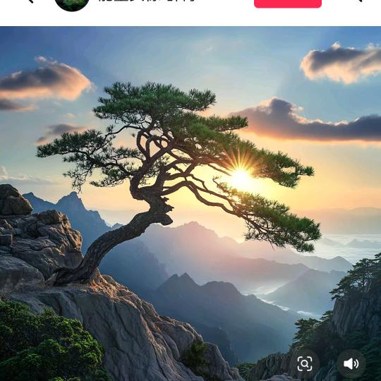 🧚‍♂️飞🧚‍♂️