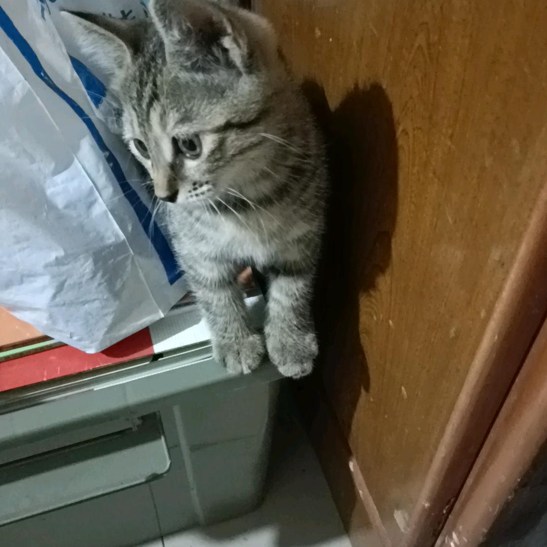 好人