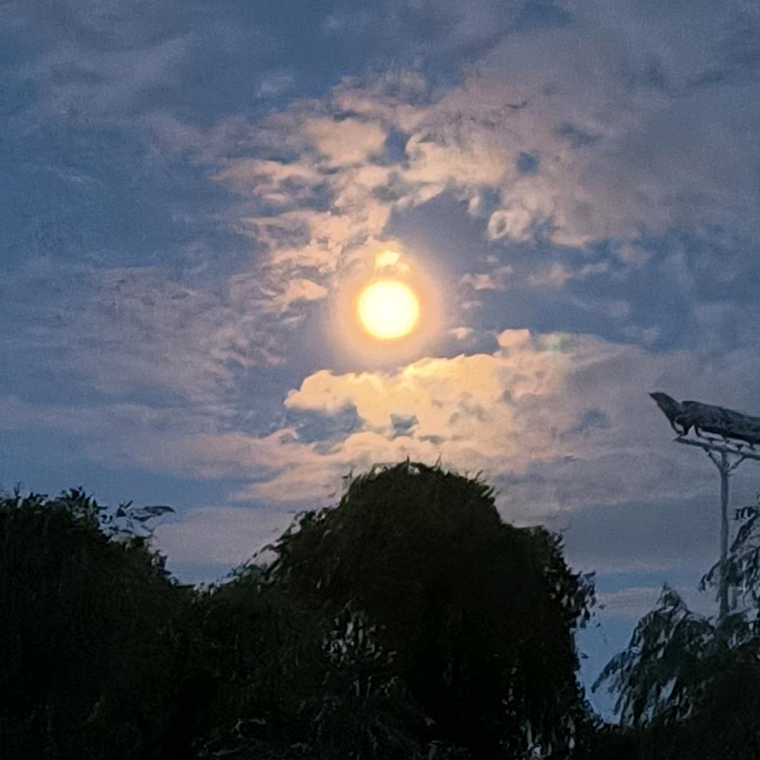 何不高枕枕