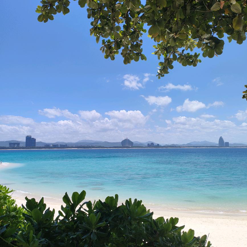 期待明天会更好🐯