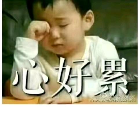 缘梦圆