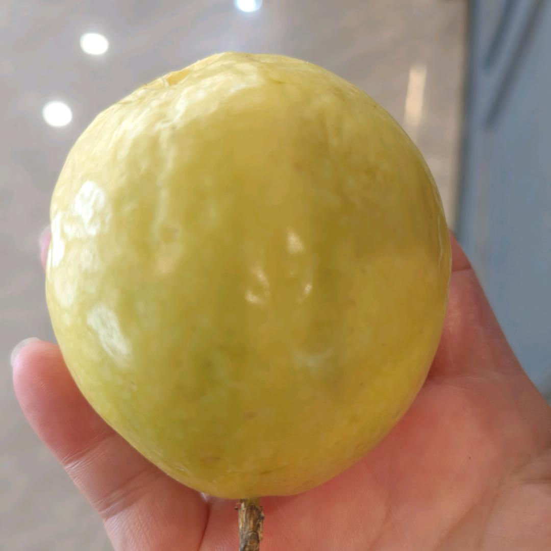 一万遍想念，不如见一面