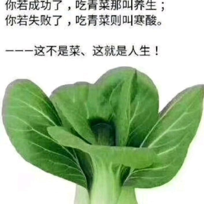 少说话是修养，会说话