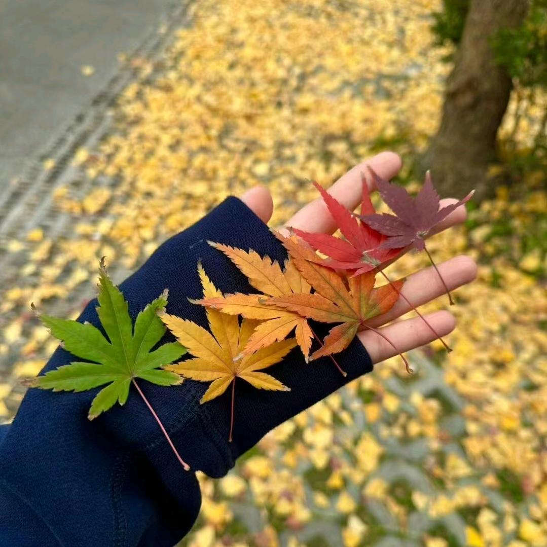 ღ᭄清零ꦿ࿐
